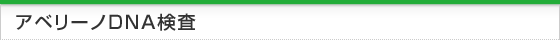 アベリーノDNA検査について
